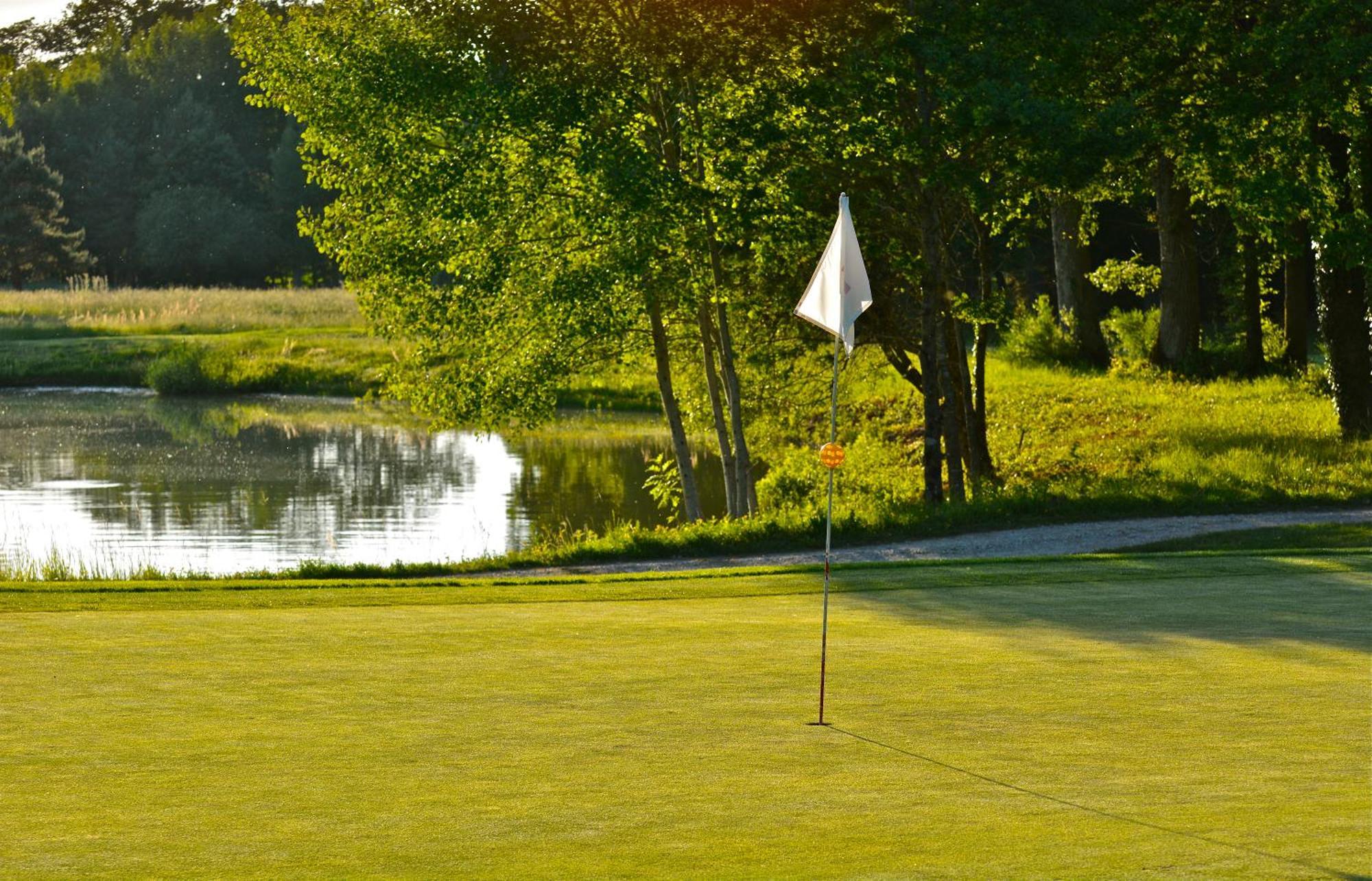 Domaine Du Roncemay - Hotel, Restaurants, Spa & Golf Aillant-sur-Tholon Exterior foto